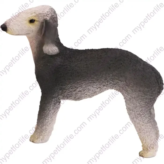 Bedlington Terrier Dog figurine for memorial urn, side