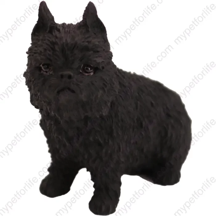 Black Brussels Griffon Dog figurine for memorial urn, front