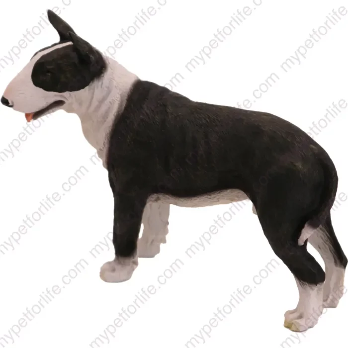 White and black brindle Bull Terrier Dog figurine for memorial urn, side