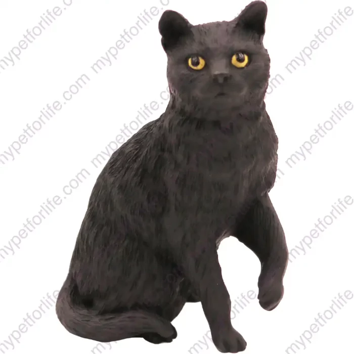 Black Short Hair cat figurine for memorial urn, front