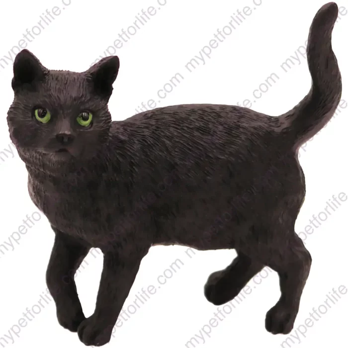 Standing Black Short Hair cat figurine for memorial urn, front