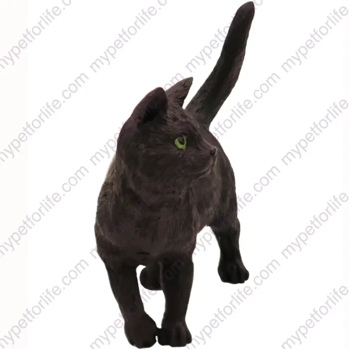 Standing Black Short Hair cat figurine for memorial urn, side