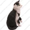 Sitting Black and white Short Hair cat figurine for memorial urn, side