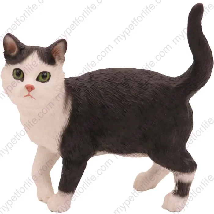 Sitting Black and white Short Hair Tabby cat figurine for memorial urn, front