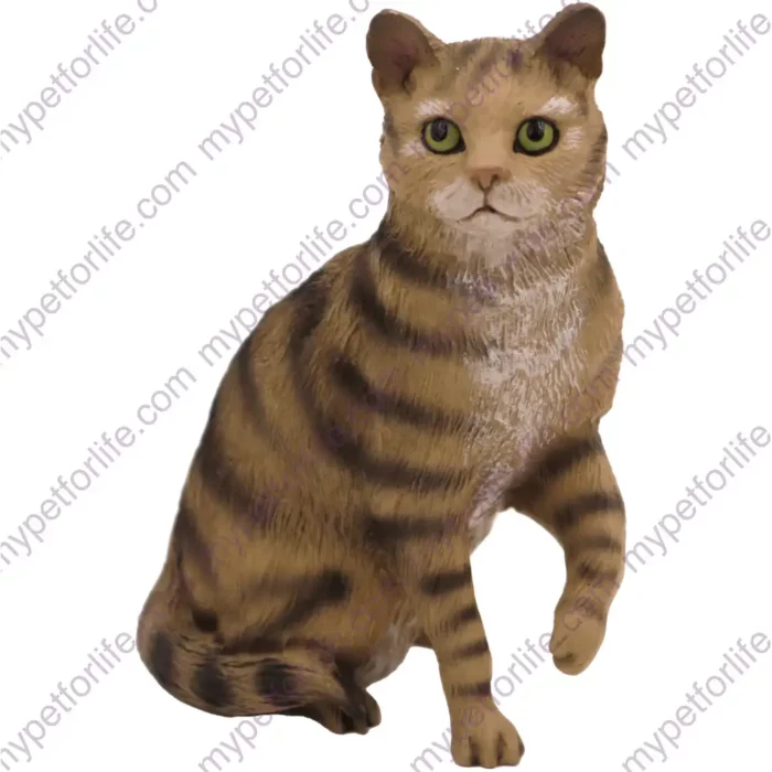 Sitting Brown Short Hair Tabby cat figurine for memorial urn, front