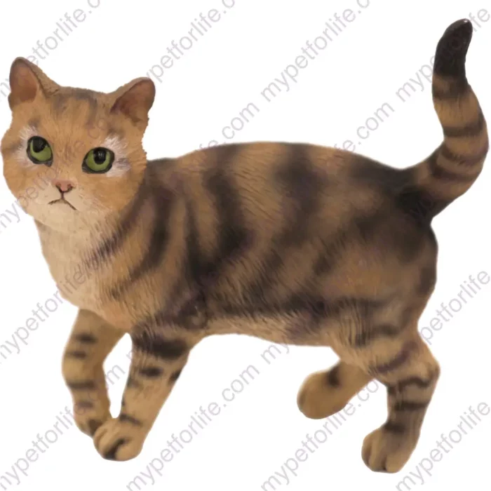 Standing Brown Short Hair Tabby cat figurine for memorial urn, front