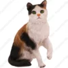 Standing Short Hair Calico cat figurine for memorial urn, front