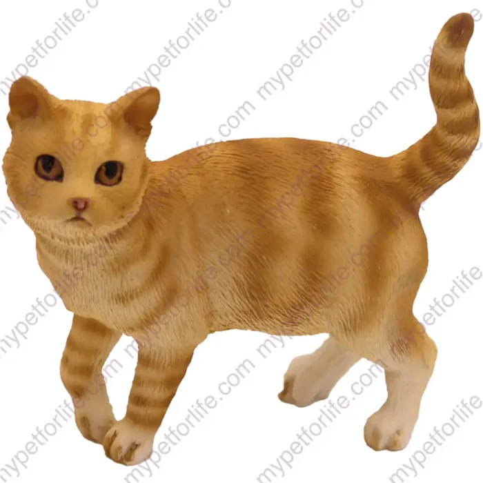 Standing Short Hair Red Tabby cat figurine for memorial urn, front