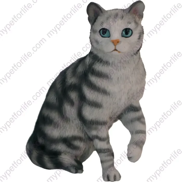 Sitting Short Hair Silver Tabby cat figurine for memorial urn, front