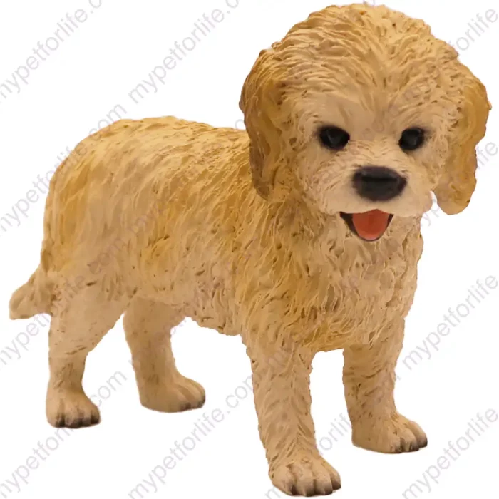 Blond Cockapoo dog figurine for memorial urn, front