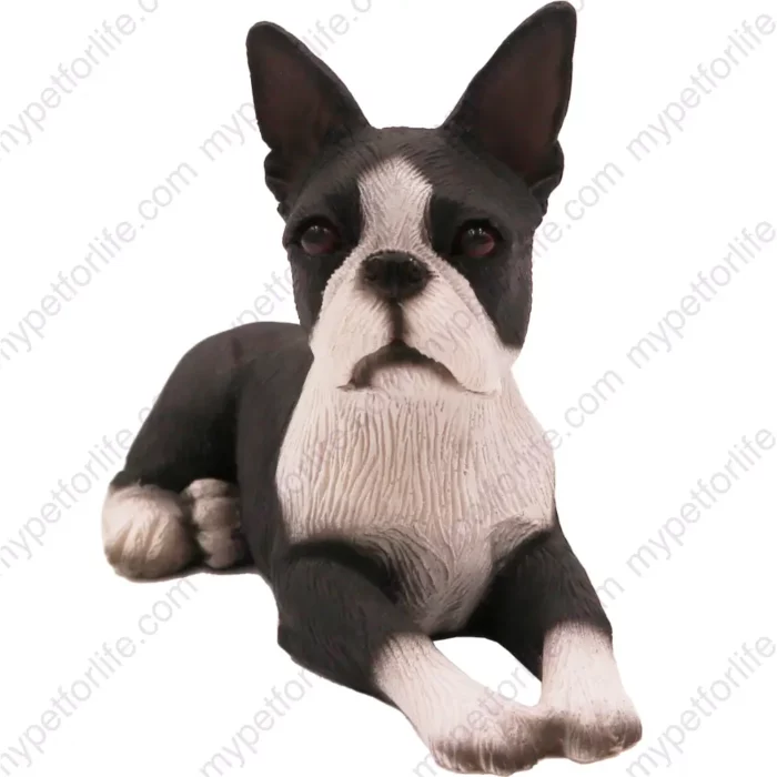 Black and white Boston Terrier dog figurine for memorial urn, front