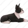 Black and white Boston Terrier dog figurine for memorial urn, side