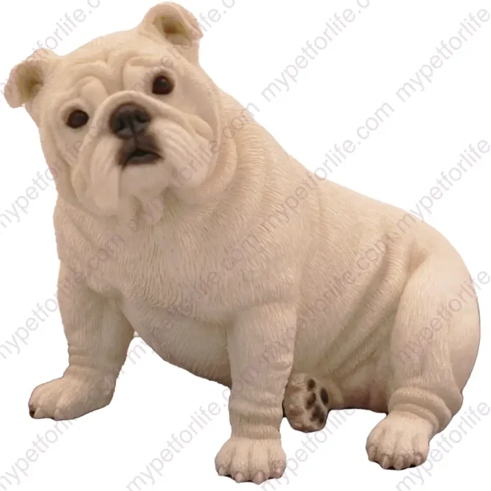 Sitting white Bulldog dog figurine for memorial urn, front