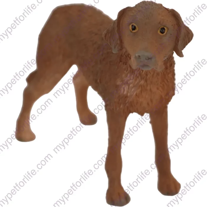 Standing Chesapeake Bay Retriever dog figurine for memorial urn, front