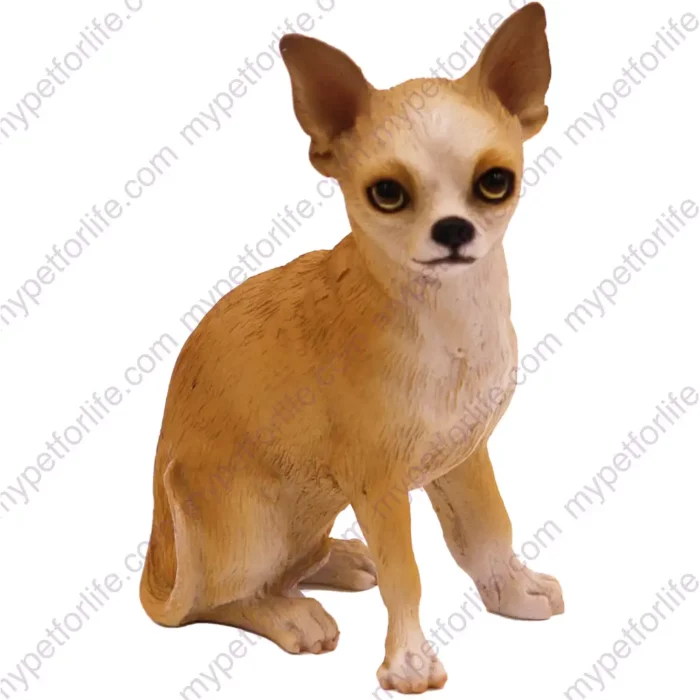 White and tan sitting Chihuahua dog figurine for memorial urn, front