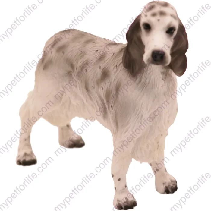 Blue Belton English Setter dog figurine for memorial urn, front