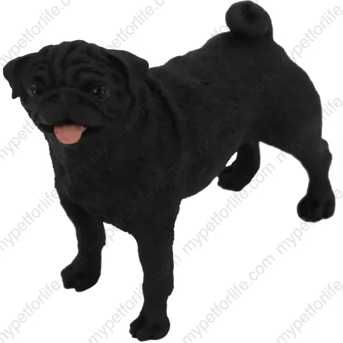 Black Pug dog figurine for memorial urn, front