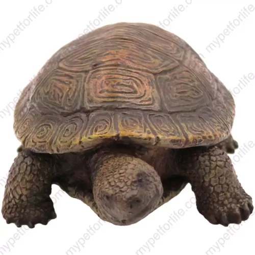 Tortoise Turtle figurine for memorial urn, front