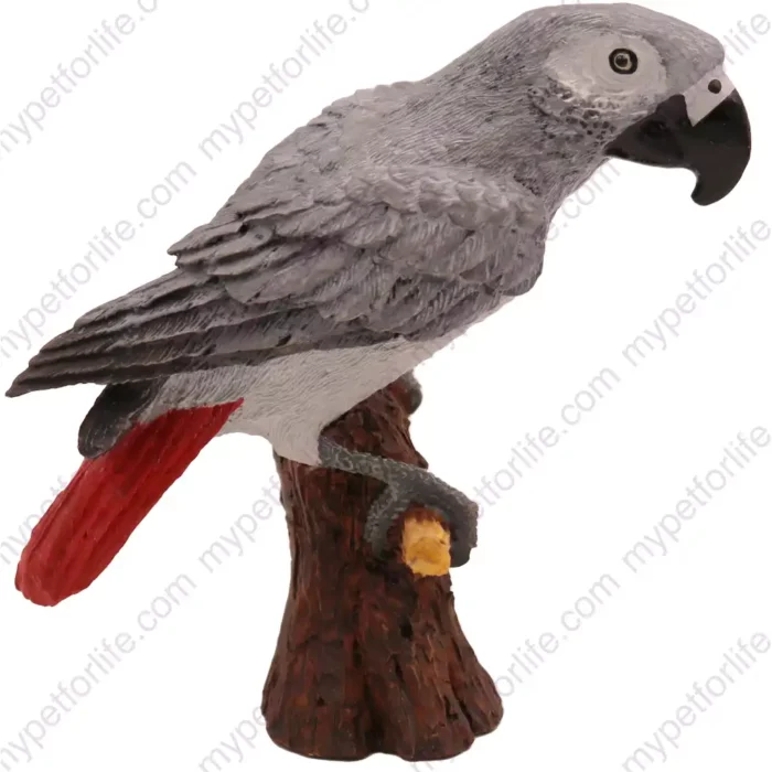 African Gray Parrot figurine for memorial urn, side