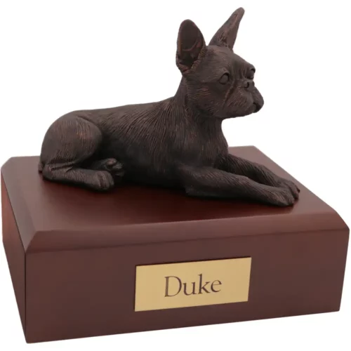 Laying bronze look Boston Terrier dog figurine on wood memorial pet cremation urn