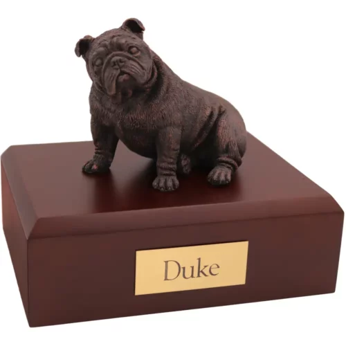 Sitting bronze look bulldog dog figurine on wood memorial pet cremation urn