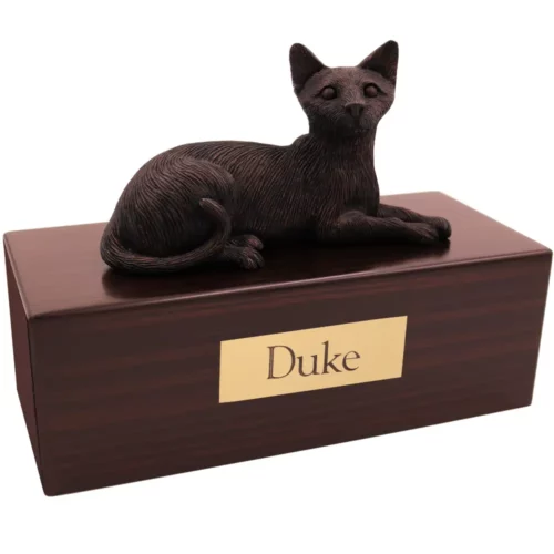 Laying bronze look Siamese cat figurine on wood memorial pet cremation urn