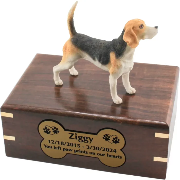 Beagle dog figurine on wood cremation urn, engraved plate