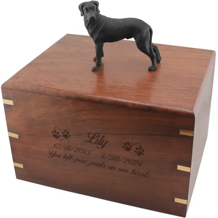 Standing black great dane dog figurine on wood cremation urn, engraved wood