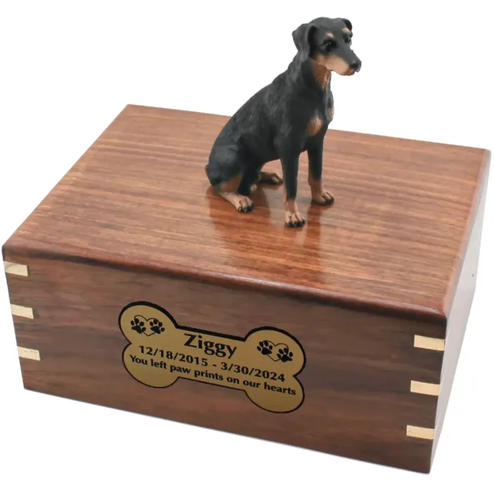 Sitting uncropped black doberman pinscher dog figurine on wood cremation urn, engraved plate