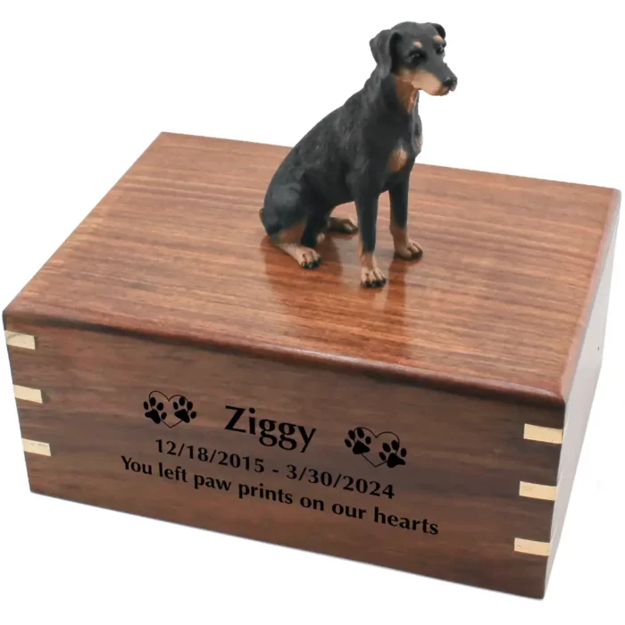 Sitting uncropped black doberman pinscher dog figurine on wood cremation urn, engraved wood, black fill