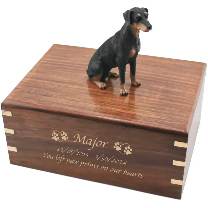 Sitting uncropped black doberman pinscher dog figurine on wood cremation urn, engraved wood, gold fill