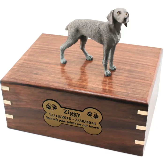 Weimaraner dog figurine on wood cremation urn, engraved plate
