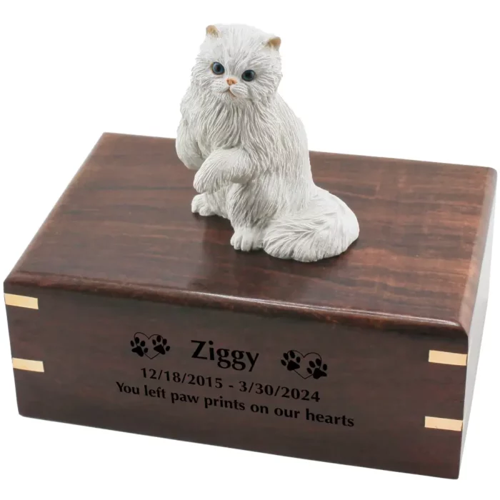 White Persian cat figurine on wood cremation urn, engraved wood, black fill