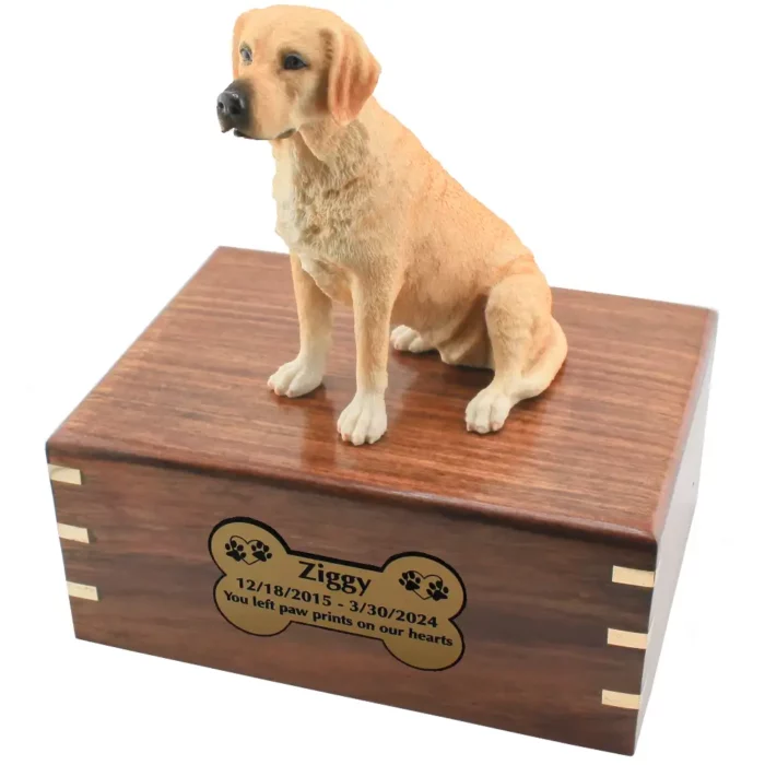 Yellow labrador dog figurine on wood cremation urn, engraved plate