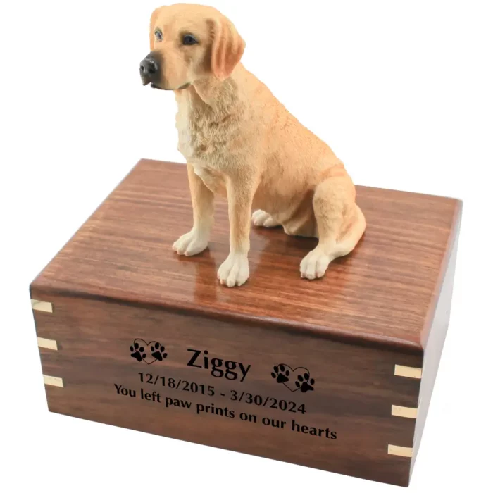 Yellow labrador dog figurine on wood cremation urn, engraved wood, black fill