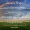 Pet urn rainbow bridge poem