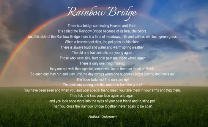 Pet urn rainbow bridge poem