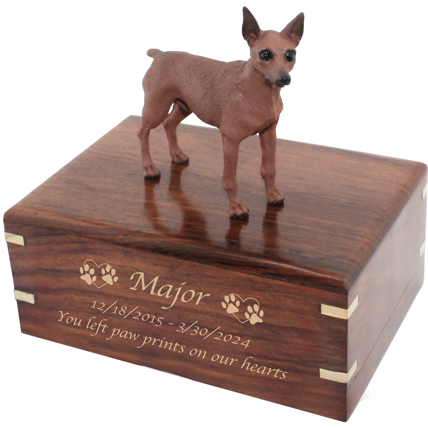 Brown Miniature Doberman Pinscher Min Pin figurine memorial cremation urn, engraved wood, medium size