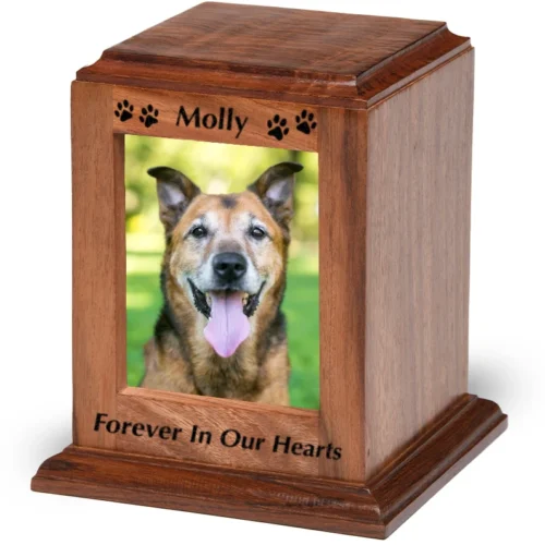 Rosewood photo pet cremation urn, engraved, with black fill and dog photo