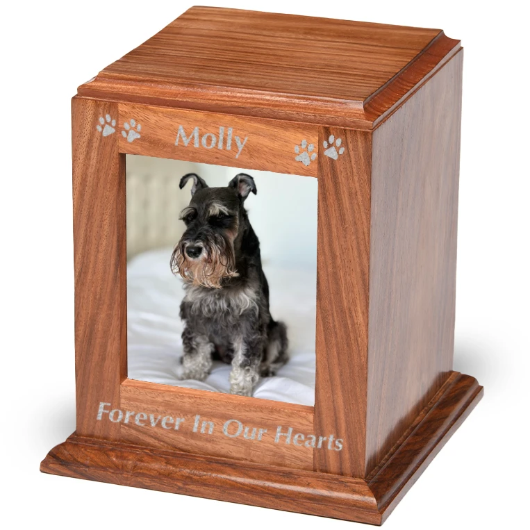 Rosewood photo pet cremation urn, engraved, with silver fill and dog photo