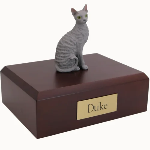 Sitting blue cornish rex cat figurine on wood cremation urn