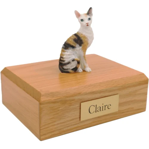 Sitting tortoise and white cornish rex cat figurine on wood cremation urn