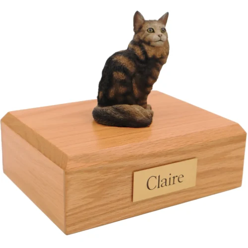 Sitting brown/tabby maine coon cat figurine on wood cremation urn