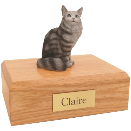 Sitting silver/tabby maine coon cat figurine on wood cremation urn