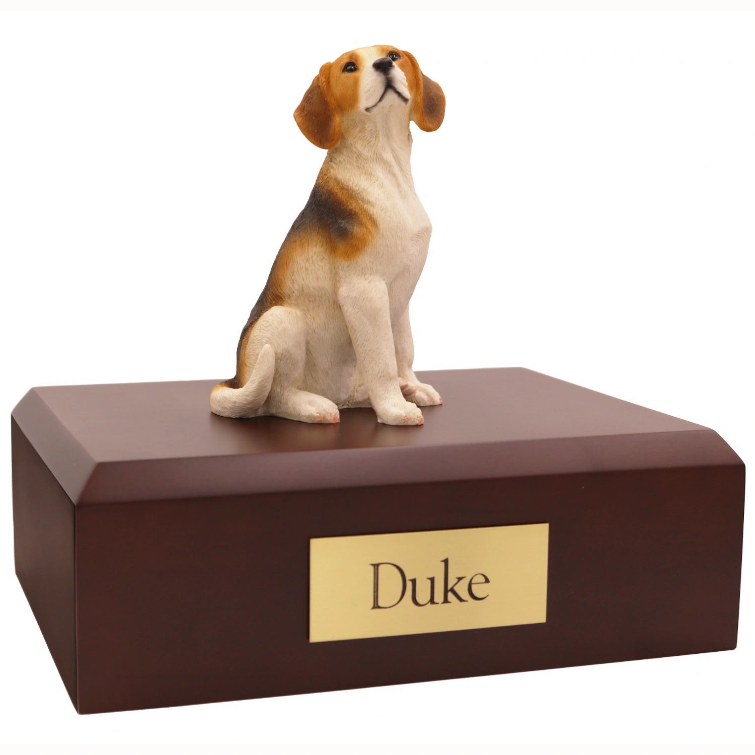 Sitting beagle dog figurine on wood memorial cremation urn
