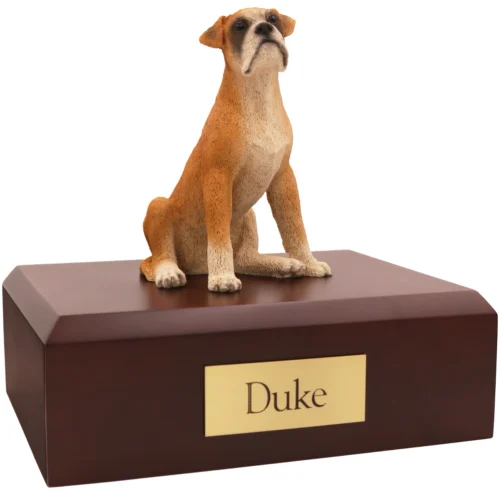 Sitting ears down tan white boxer dog figurine on wood memorial cremation urn