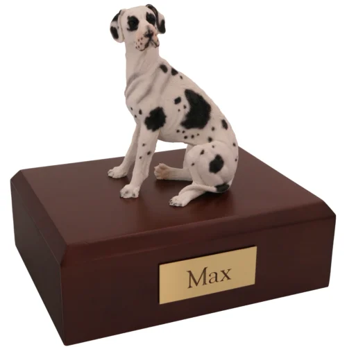 Sitting harlequin ears down great dane dog figurine on wood memorial cremation urn