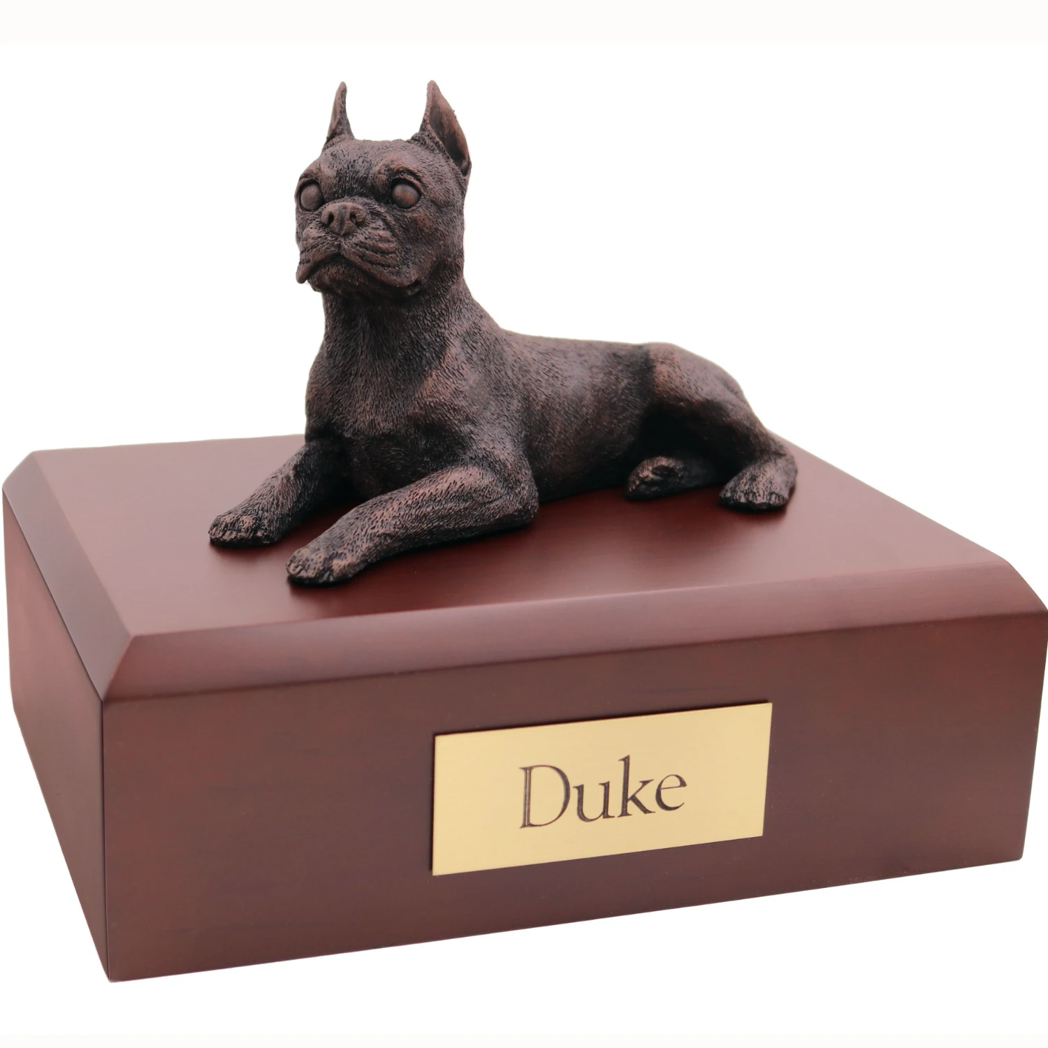 Laying boston terrier bronze look dog figurine on wood cremation urn