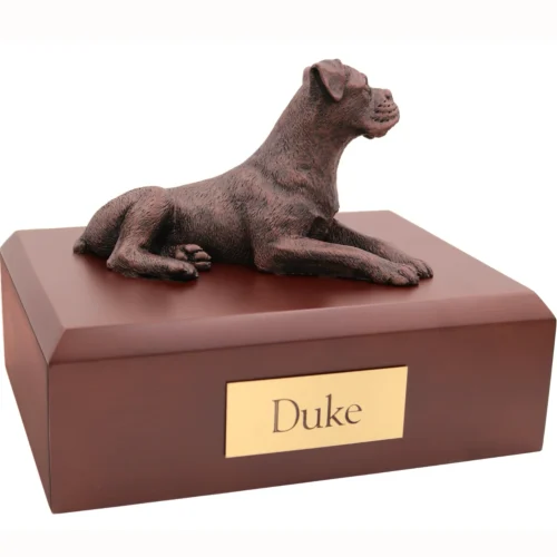 Laying boxer ears down bronze look dog figurine on wood cremation urn