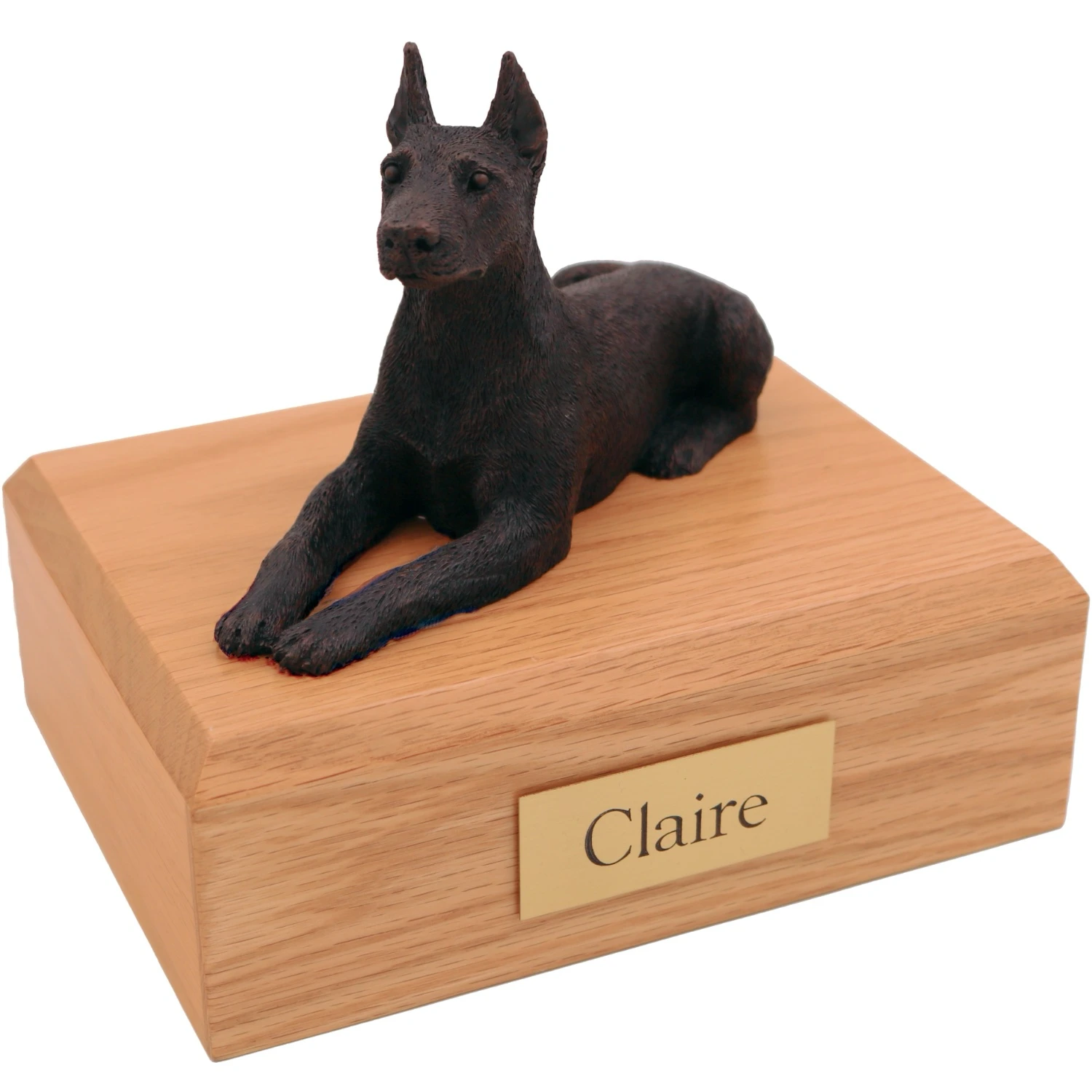 Laying doberman pinscher ears up bronze look dog figurine on wood cremation urn